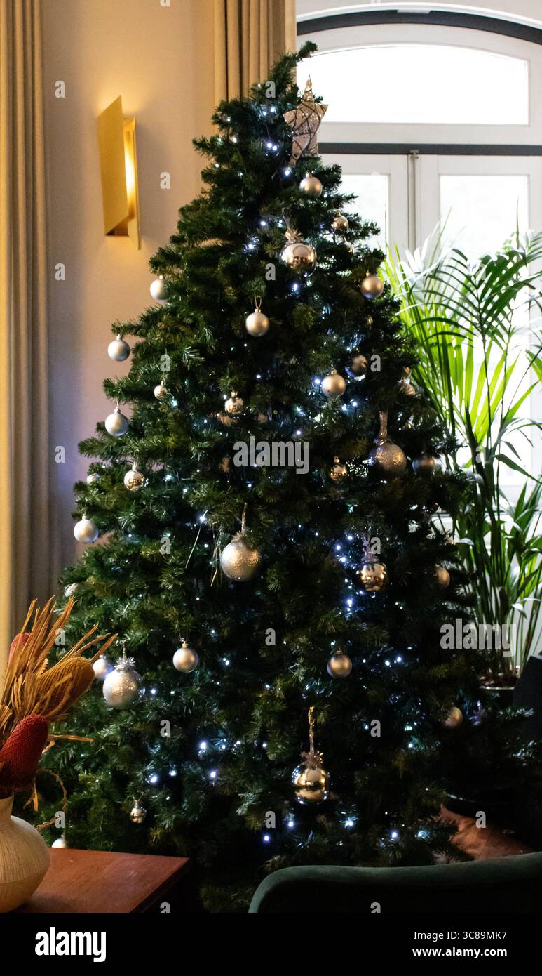 Festliche Indoor-Szene mit einem üppigen, grünen künstlichen Weihnachtsbaum. Die klassische Weihnachtsdekoration wird mit kleinen, hellen Lichtern beleuchtet Stockfoto Festliche Indoor-Szene mit einem üppigen, grünen künstlichen Weihnachtsbaum. Die klassische Weihnachtsdekoration wird mit kleinen, hellen Lichtern beleuchtet Stockfoto
