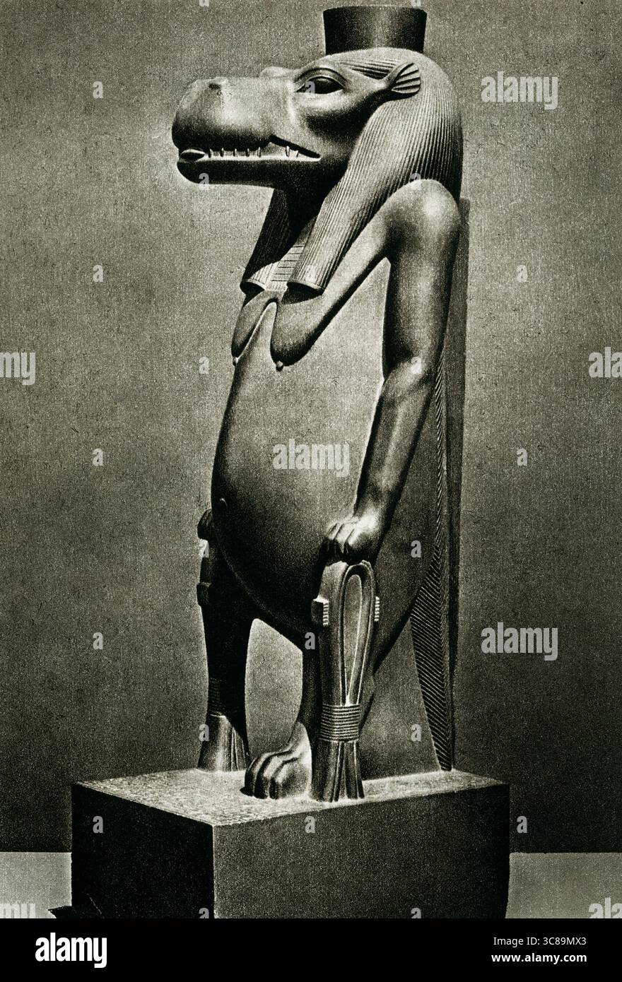 Die Bildunterschrift von 1925 lautet: „Statue der Göttin Toeris aus schwarzem Stein aus Theben im Museum Kairo“. Taweret ist eine altägyptische Göttin, die in erster Linie mit Fruchtbarkeit, Geburt und dem Schutz von Müttern und Kindern verbunden ist. Sie wird gewöhnlich als schwangere Nilpferde dargestellt, die auf ihren Hinterbeinen stehen, wobei ihr linkes Bein nach vorne streckt und ihre Hände an der Seite gehalten werden. Sie trägt einen dreiteiligen Kopfschmuck, einen scheibenförmigen Kopfteil und einen breiten Kragen. Stockfoto