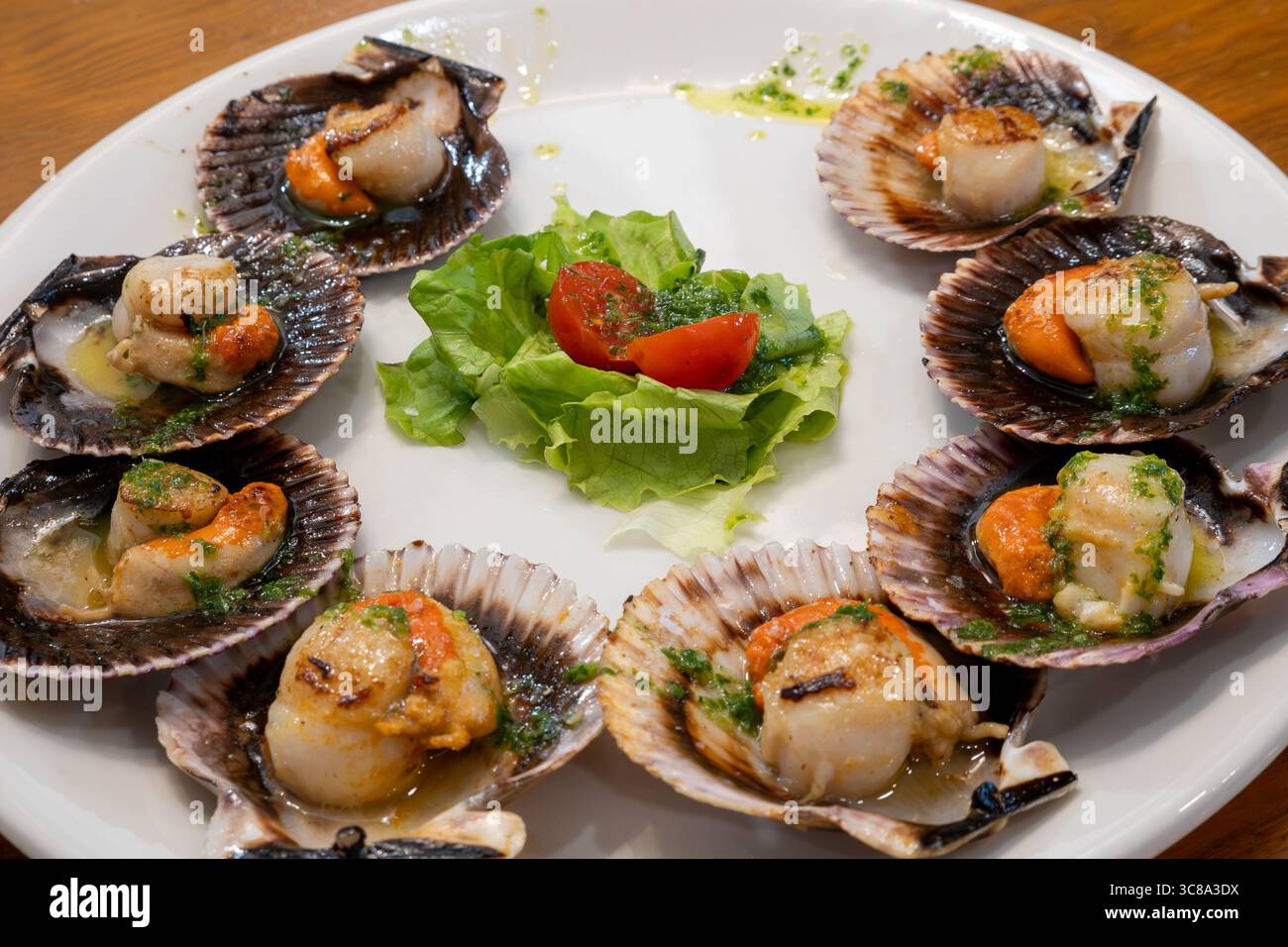 Eine köstliche Portion Jakobsmuscheln, elegant auf einem weißen Teller angeordnet, ergänzt durch eine frische Garnitur aus grünem Salat und Tomaten. Stockfoto