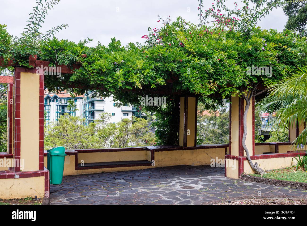 Moderne Pergola aus Stein mit üppigen grünen Reben im Stadtpark. Pergola mit Bänken. Hochwertige Fotos Stockfoto