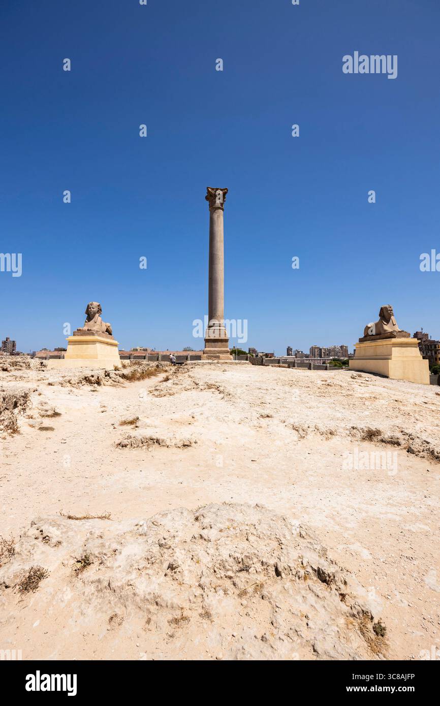 Serapeum von Alexandria, alte Pompeius-Säule und Steinstatue der Sphinxe, in der Innenstadt, Alexandria, Ägypten, Nordafrika, Afrika Stockfoto