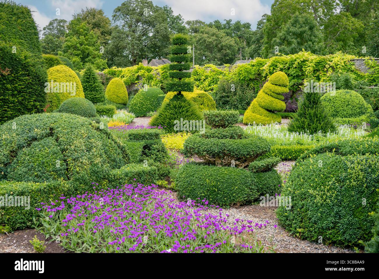 Topiary in Gardens of Levens Hall, Levens, Cumbria, England Stockfoto
