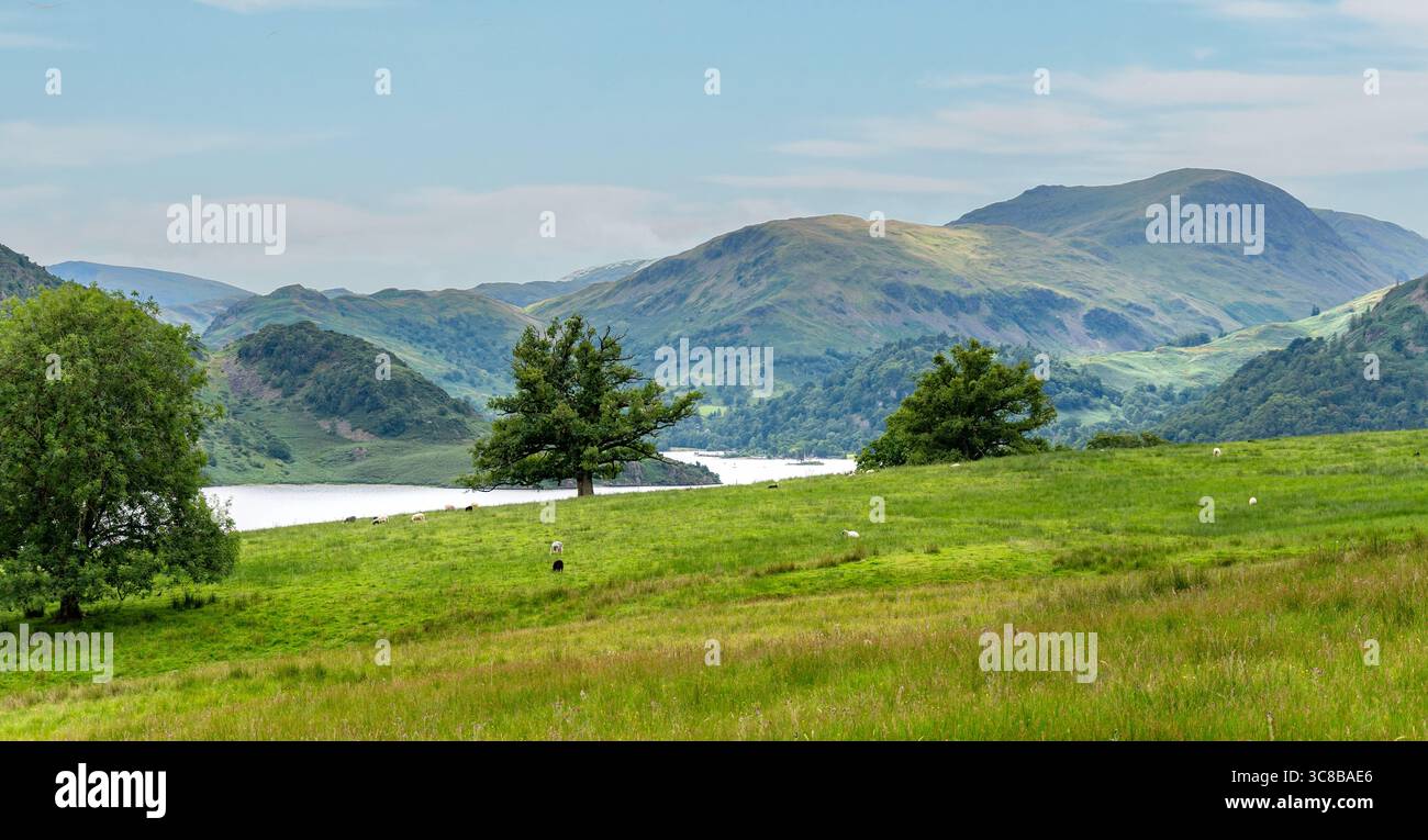 Ullswater von der Aira Force in der Nähe von Watermillock, Cumbria, England Stockfoto