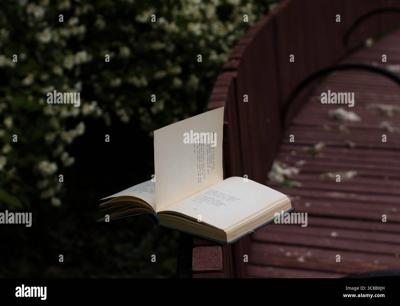 Bücher im Park lesen. Frühlingsspaziergang im Park und Gedichte lesen. Stockfoto