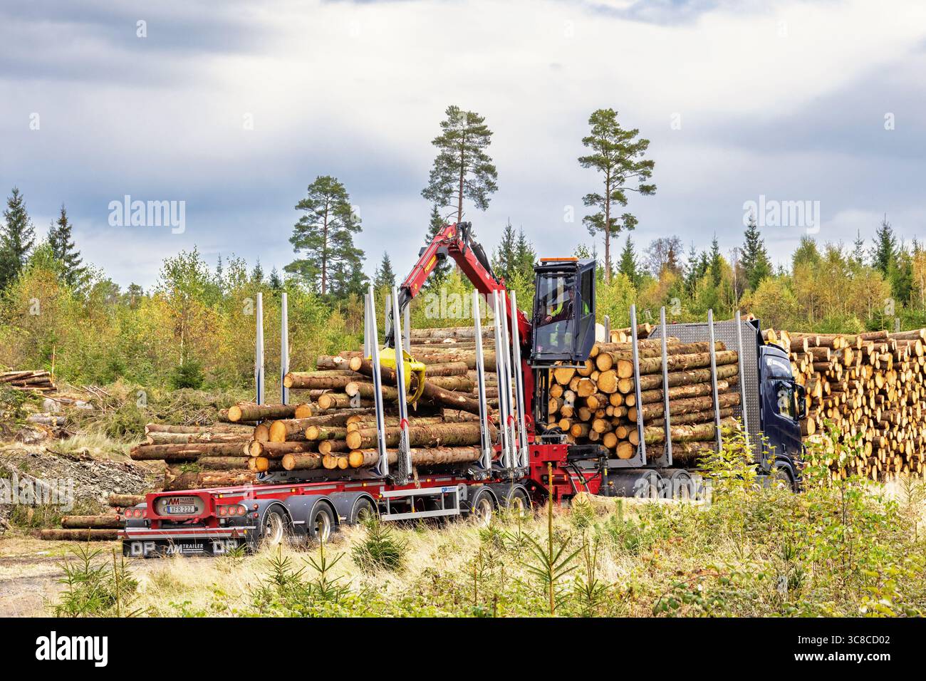 Holzverladung mit einem Kran auf einen Lkw auf einer Forststraße Stockfoto