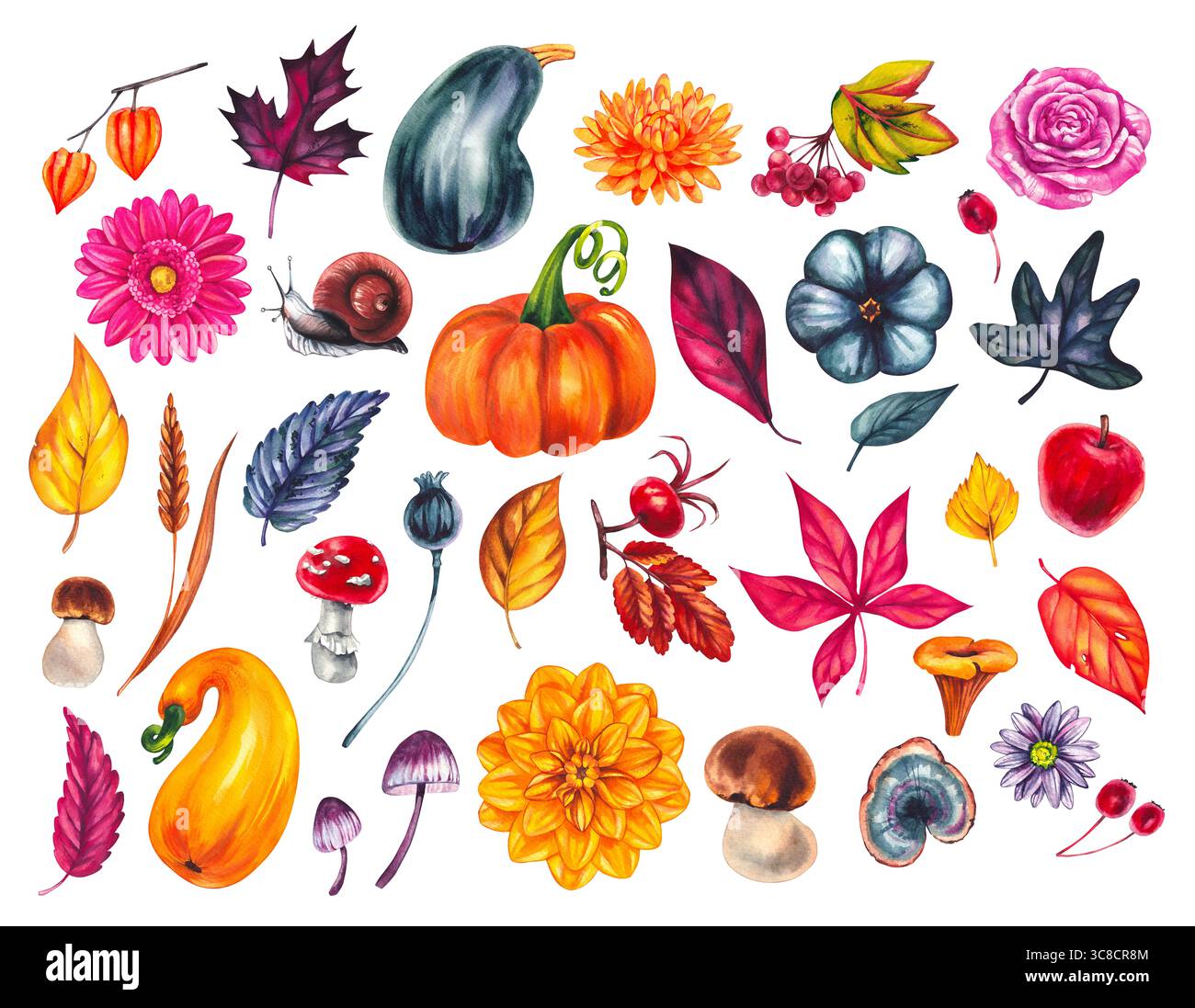 Herbst Aquarellset mit Blättern, Blumen, Kürbissen. Perfekt für Heimwerkerprojekte, Karten, Einladungen, Poster, Scrapbooking, Branding und Verpackung für Stockfoto