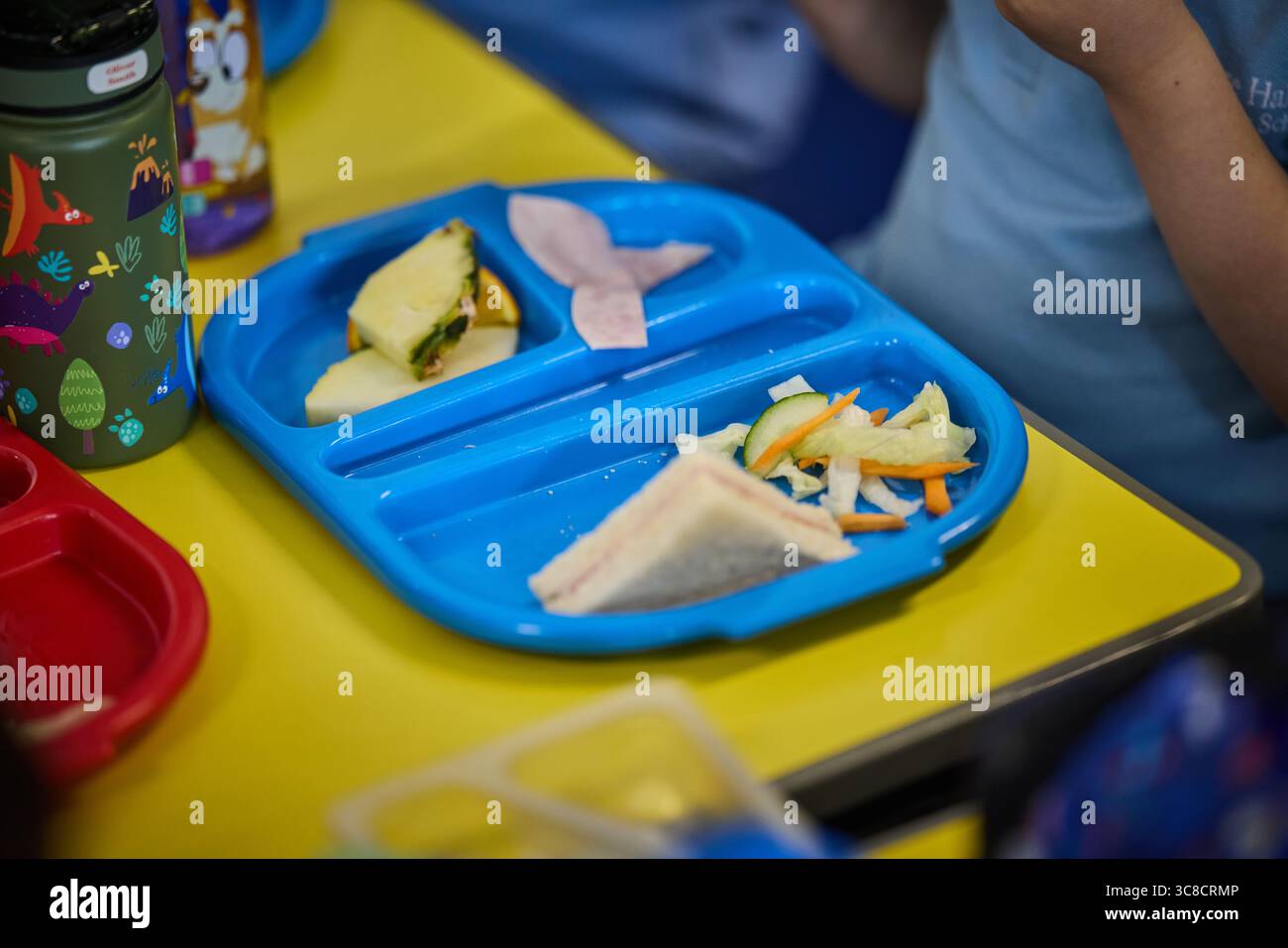 Schulmahlzeit auf einem Essenstablett Stockfoto