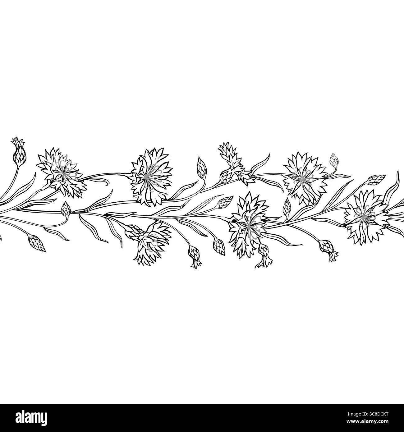 Kornblumenkontur Horizontales Nahtloses Muster Stock Vektor