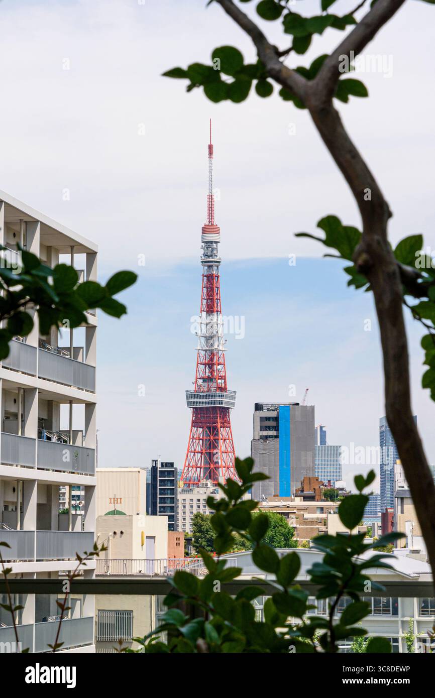 Orange und weißer Tokio Tower aus Sicht des Mohri Garden, der Roppongi Hills, Minato City, Tokio, Japan Stockfoto