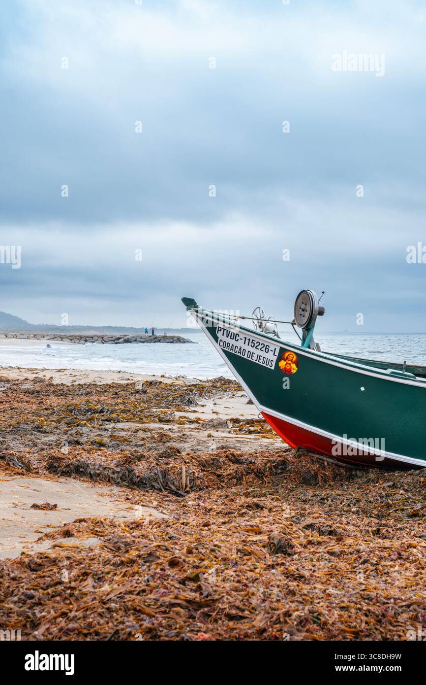 Traditionelles Fischerboot Am Weitläufigen Meeresalgen-Bedeckten Strand Im Norden Portugals. Minho Region, Küstenlandschaft, Seeschiff, Natürliche Umwelt Stockfoto
