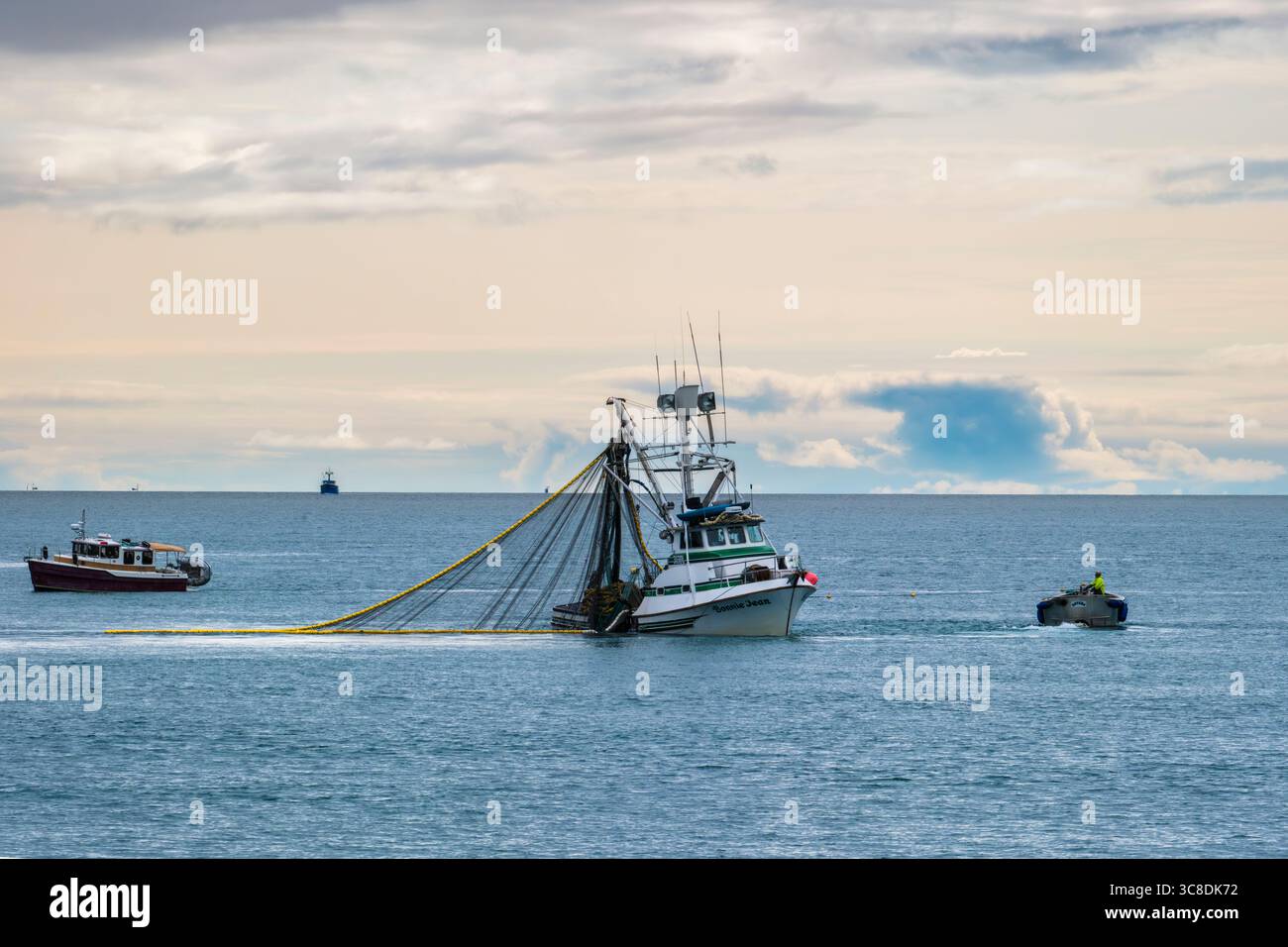 Fischerboote, die im Netz der Fischfänge im Valdez Arm des Prince William Sound landen. Valdez, Alaska (AK), Vereinigte Staaten von Amerika (USA) Stockfoto
