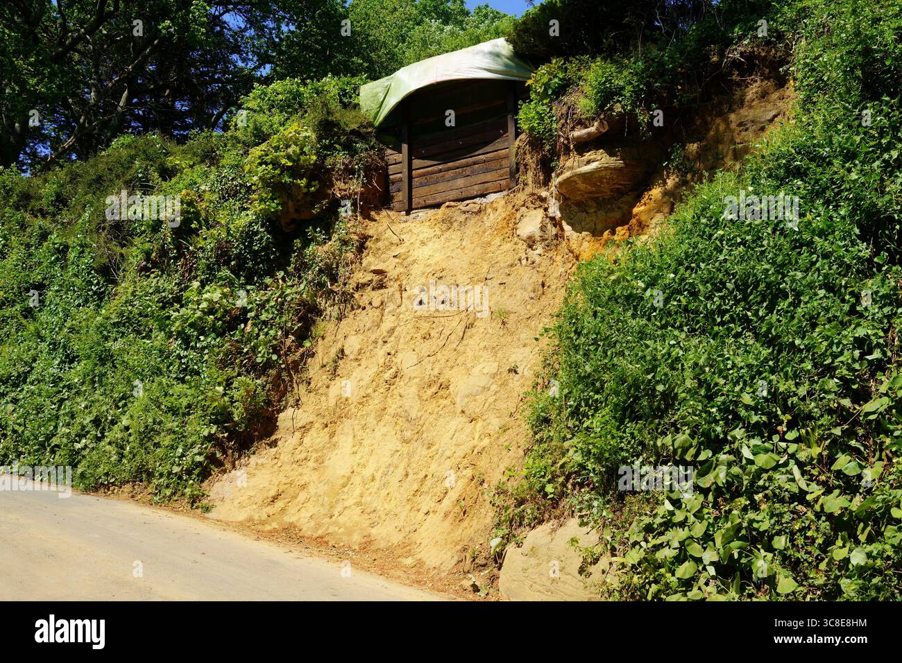 Instabiler Embankment Ground neben A Country Lane, Dorset, England, Großbritannien im Frühjahr Stockfoto