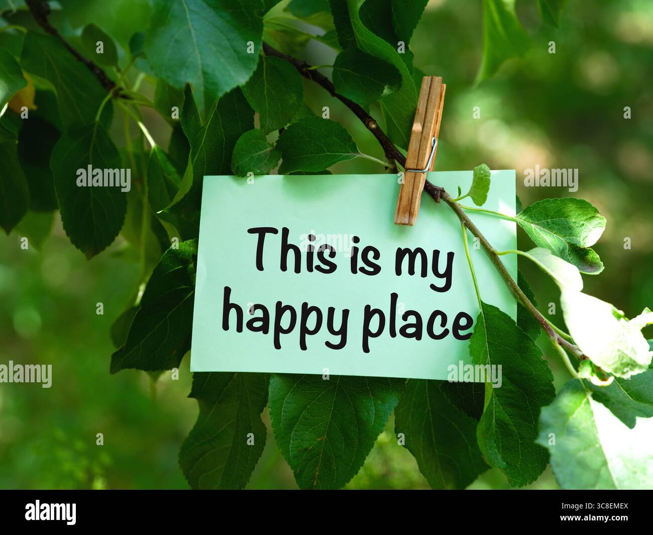 Ein grüner Brief mit Worten, das ist mein glücklicher Ort, der an einem Baumzweig hängt. Stockfoto