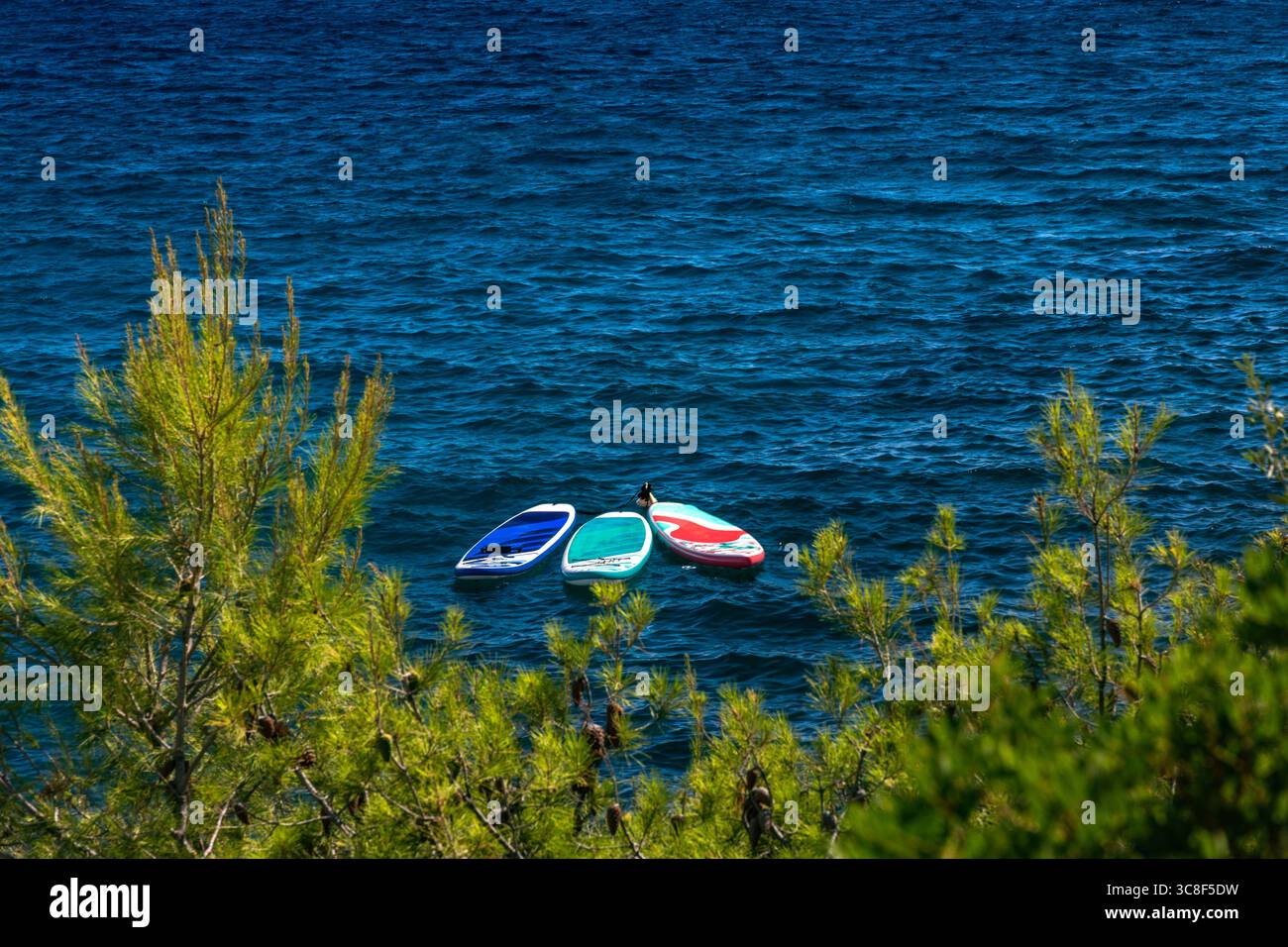 Bunte Surfbretter in der Adria vor der Küste von Ciovo, Kroatien, verlassene SUPs ohne Menschen, Wasserrettung Stockfoto