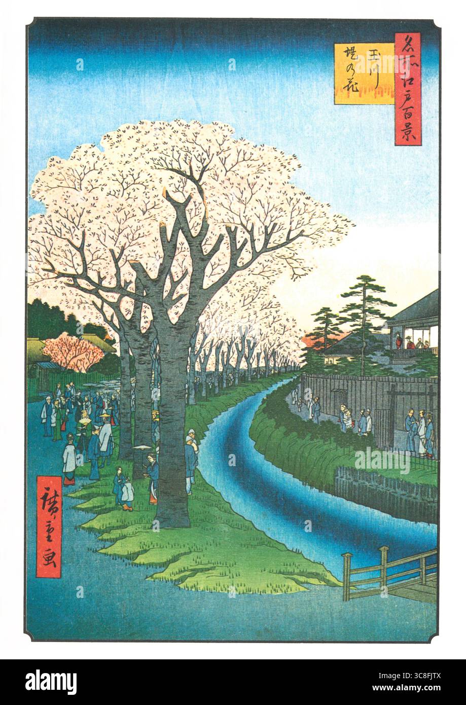Hundert berühmte Ausblicke auf Edo von Utagawa Hiroshige - 1856: #42, Kirschblüten am Ufer des Tamagawa Aquädukts Stockfoto