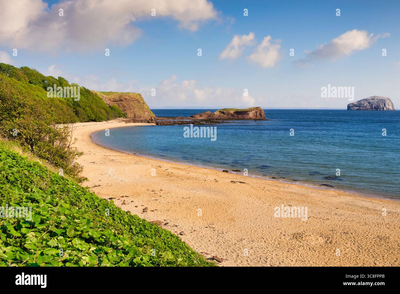 Seacliff Beach, ein wilder und wundervoller Strand in der Nähe von North Berwick, East Lothian, Schottland. 2 km vor der Küste auf der rechten Seite ist Bass Rock, im Zentrum befindet sich das G Stockfoto