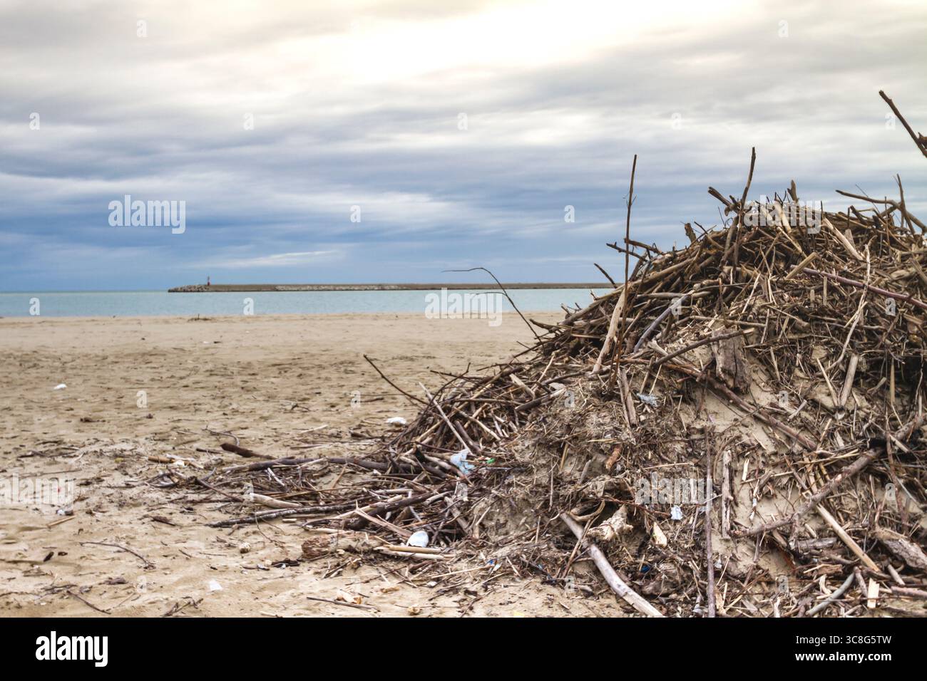 Treibholz, das über die Sandküste verstreut ist, zeigt ozeanische Trümmer, die die Umweltverschmutzung durch Meeresverschmutzung beeinträchtigen Stockfoto