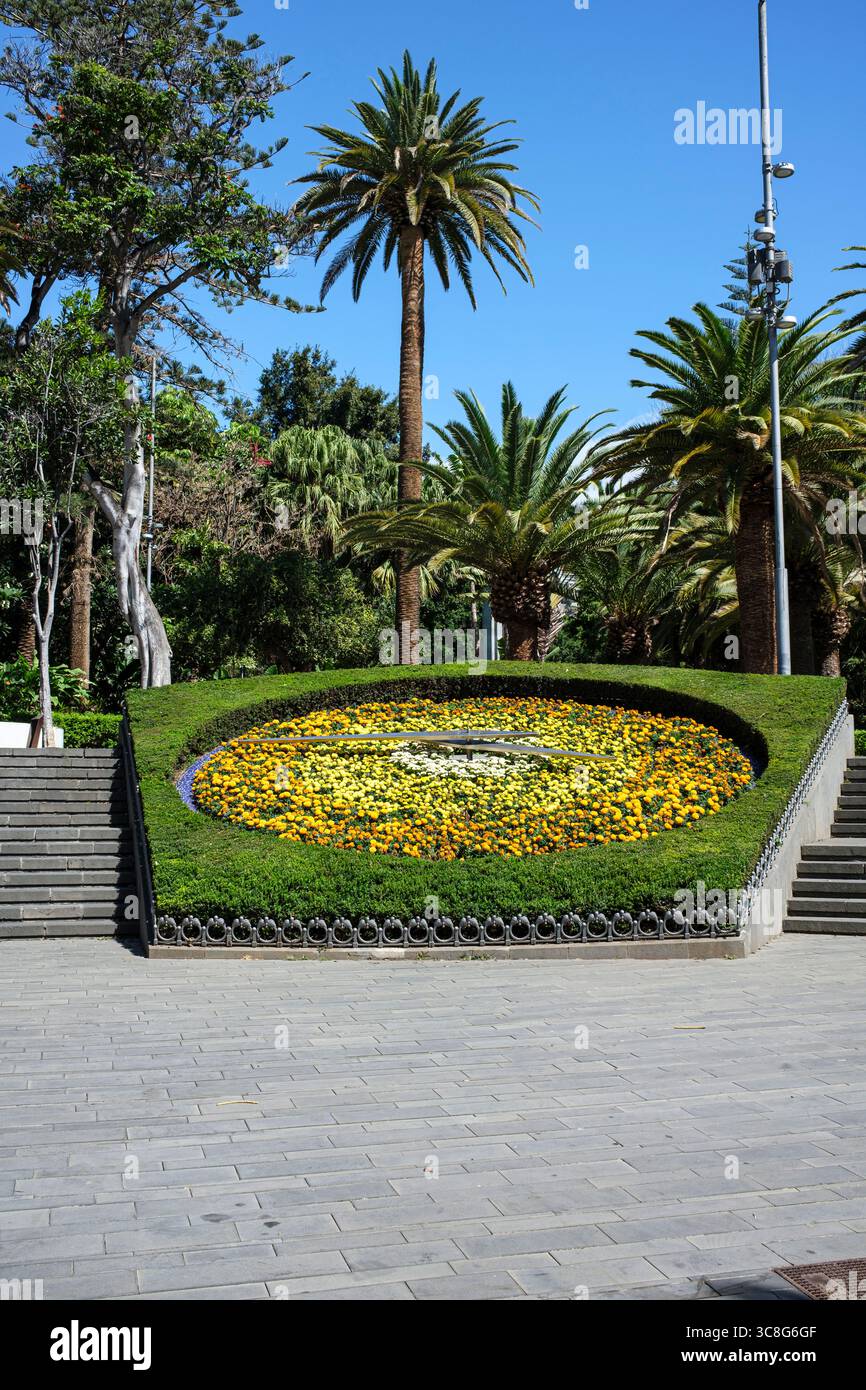 Die Blumenuhr im Parque Garcia Sanabria, Santa Cruz de Tenerife, Kanarische Inseln, Spanien Stockfoto