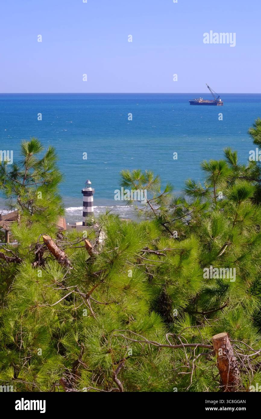Maritime Kiefernzweige, die eine ruhige blaue Meereslandschaft umrahmen, schwarz-weißer Leuchtturm, entfernte Frachtschiffe vor dem Horizont Stockfoto
