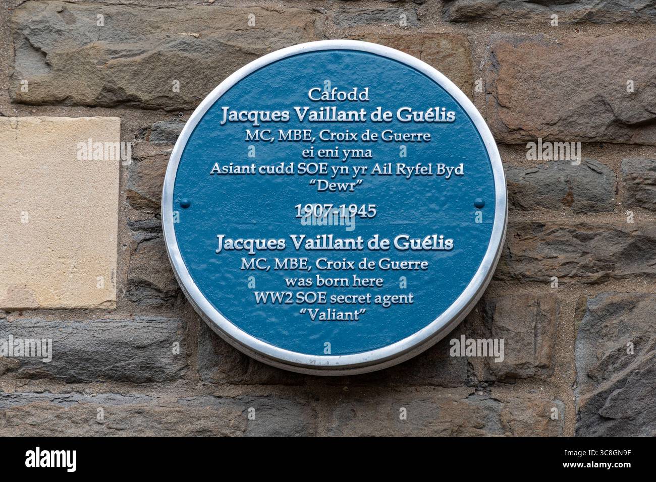 Blaue Plakette zu Ehren von Jacques Vaillant de Guelis, geboren hier, bekannt als WW2 SOE Geheimagente Valiant, Cardiff City, South Wales, Großbritannien Stockfoto