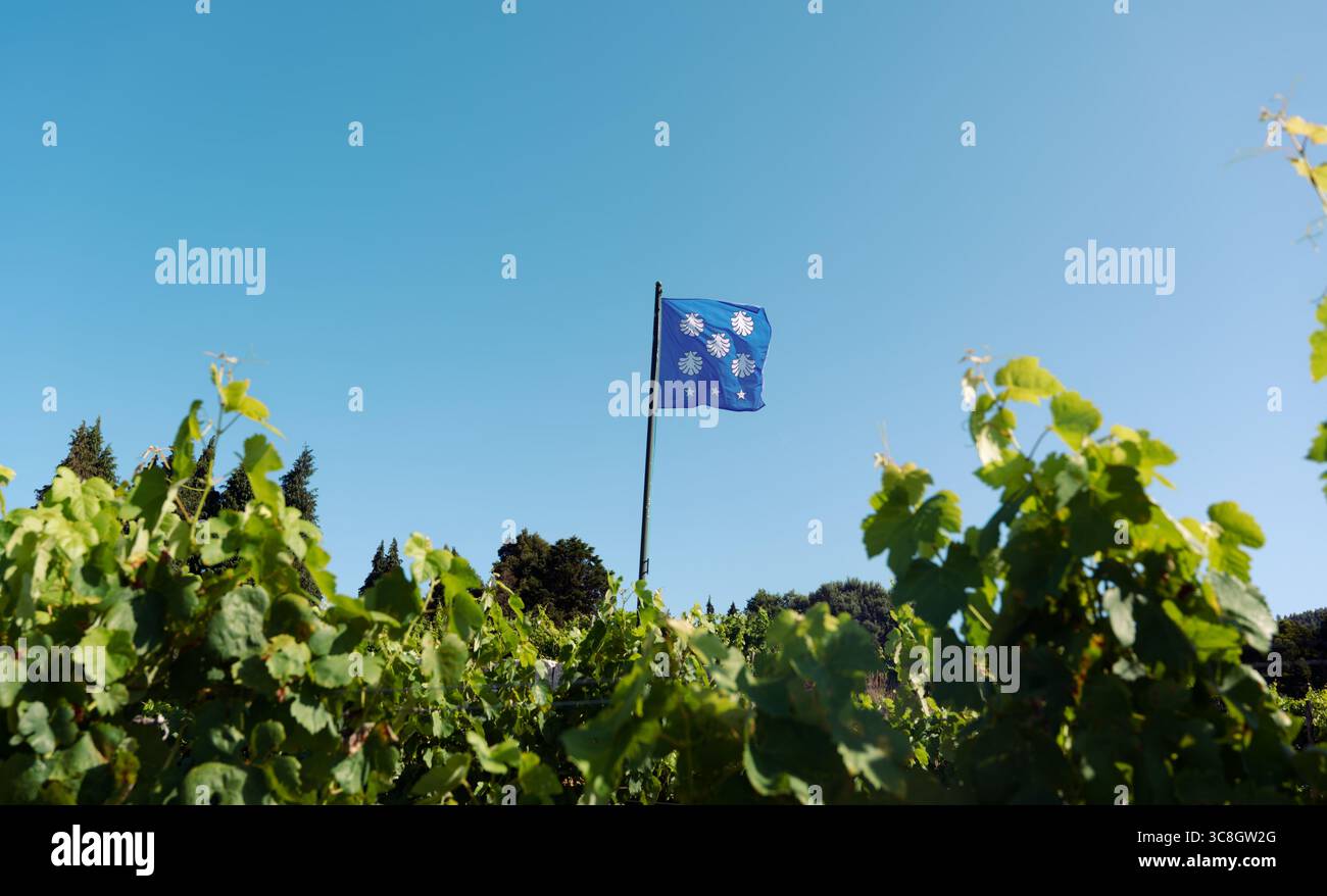 Die Wappenfahne der Familie Calheiros ragt über den Weinbergen des Pac de Calheiros in Ponte de Lima und trägt fünf Muscheln von Santiago und drei Sterne Stockfoto