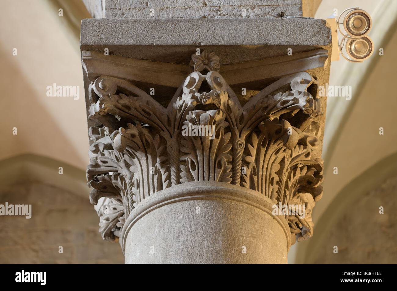 Säulenkapital im romanischen Stil mit korinthischen Elementen und dekorativen Blattmustern in der Kathedrale von San Zeno (Duomo di San Ze) Stockfoto