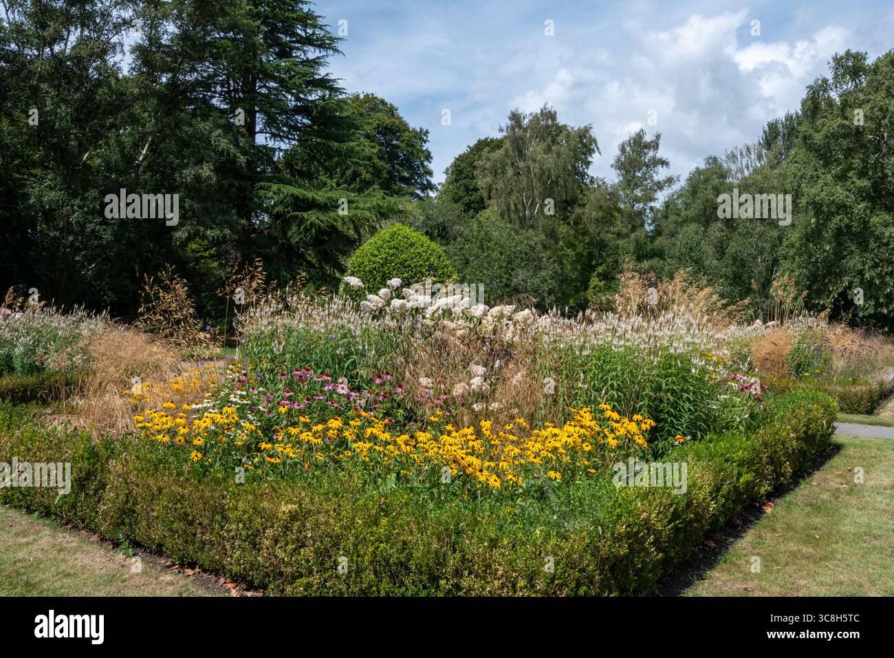 Blumengärten im Sommer im Bute Park, einem öffentlichen Park in Cardiff, South Wales, Großbritannien Stockfoto