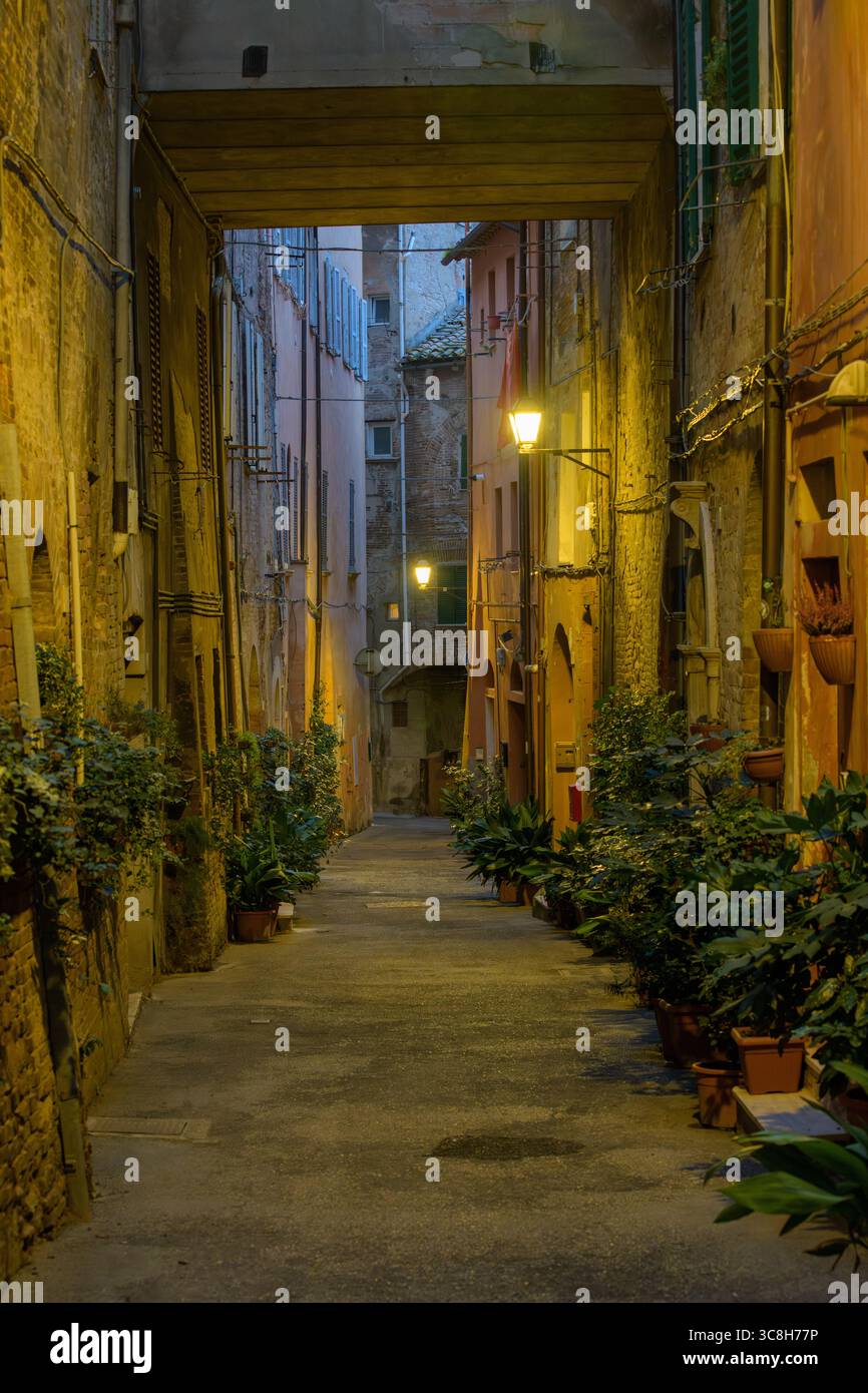 Enge Gasse mit warmen Abendlichtern und Topfpflanzen im historischen Zentrum von Perugia (Perugia), Umbrien, Italien. Stockfoto