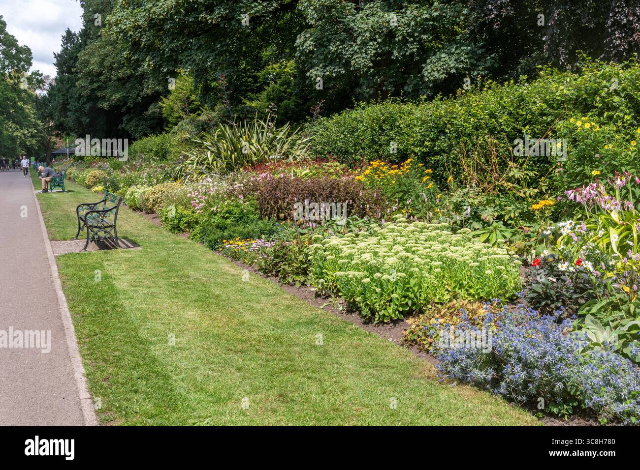 Blumengärten im Sommer im Bute Park, einem öffentlichen Park in Cardiff, South Wales, Großbritannien Stockfoto