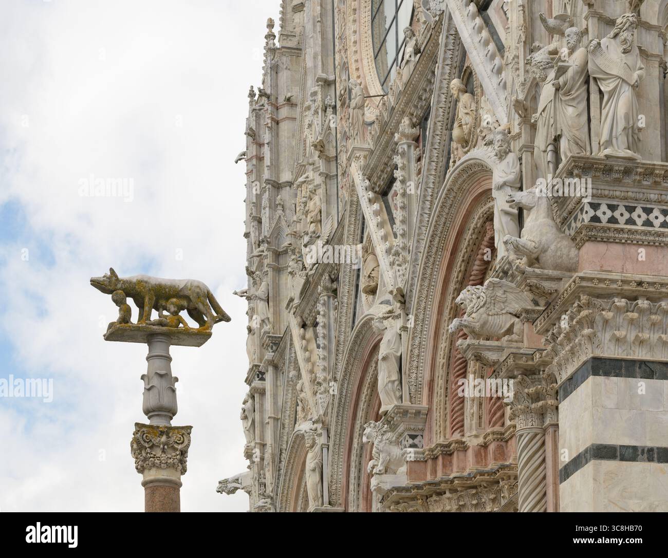 Die Statue des Kapitolinischen Wolfs im Duomo von Siena. Die Wölfin, ein Symbol der Stadt, wurde von Senius und Aschius, den Söhnen Remus, nach Siena gebracht, als sie flohen Stockfoto