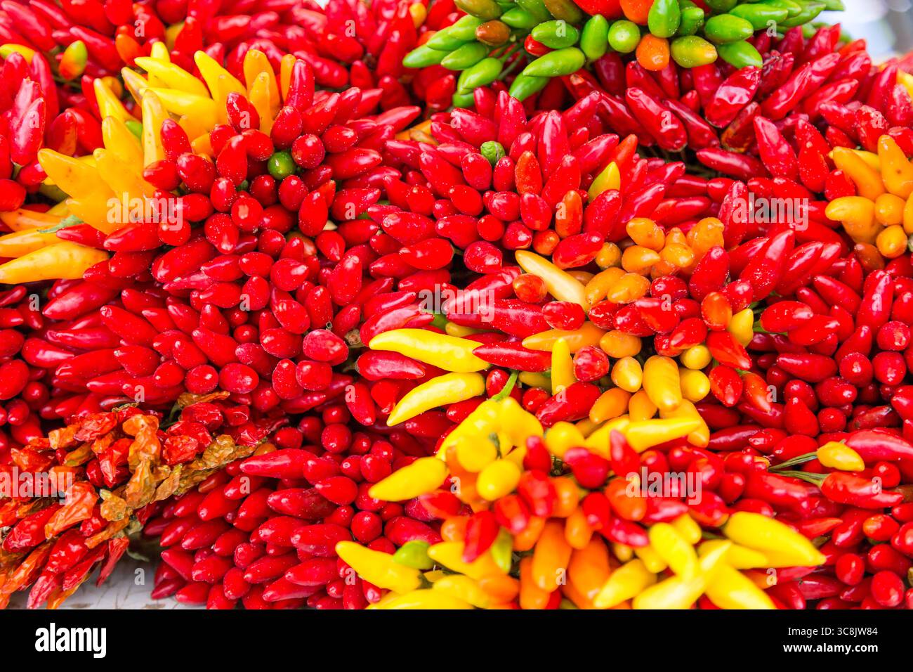 Gelbe, grüne und rote Chilischoten auf einem Lebensmittelmarkt in Venedig, Italien Stockfoto