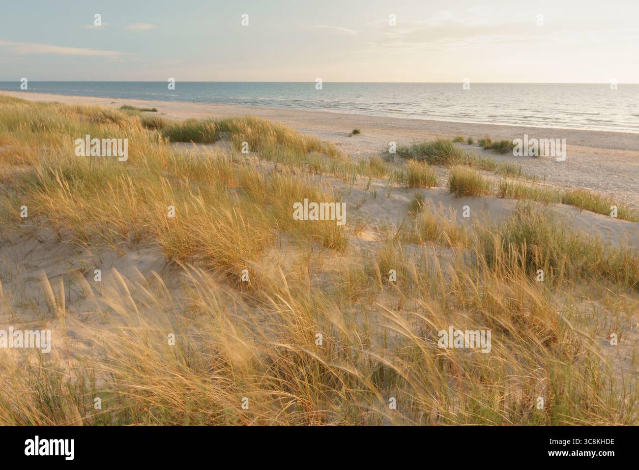 Wilder Strand während der goldenen Stunde, in Pērkone, in der Nähe von Liepāja, Lettland – Ostseeküste Stockfoto
