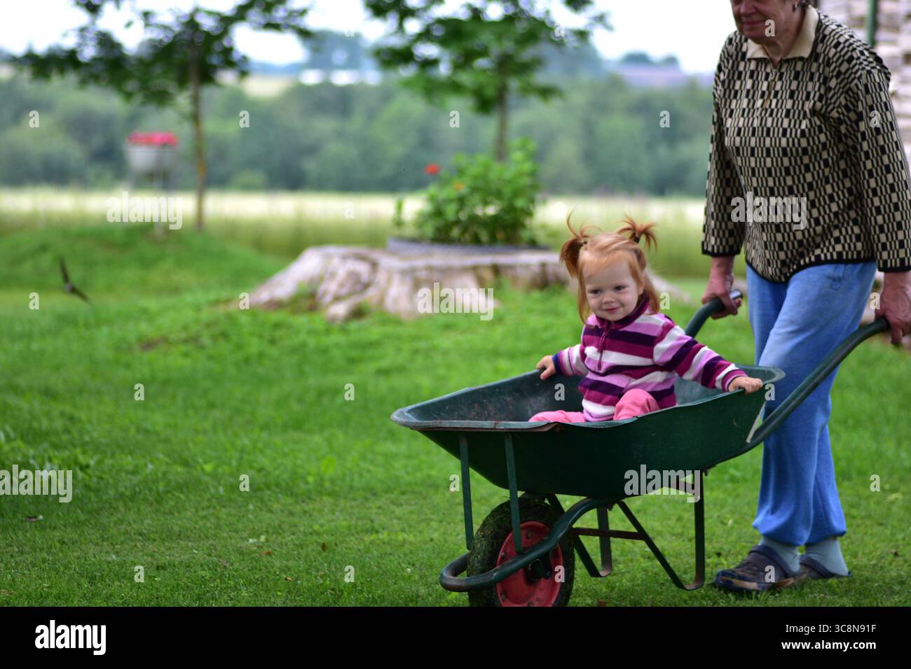 Lächelnde ältere Frau, die fröhliches rothaariges Kleinkind in einer grünen Schubkarre durch üppigen Garten schiebt. Fröhlicher ländlicher Lebensstil und Mehrgenerationen Stockfoto