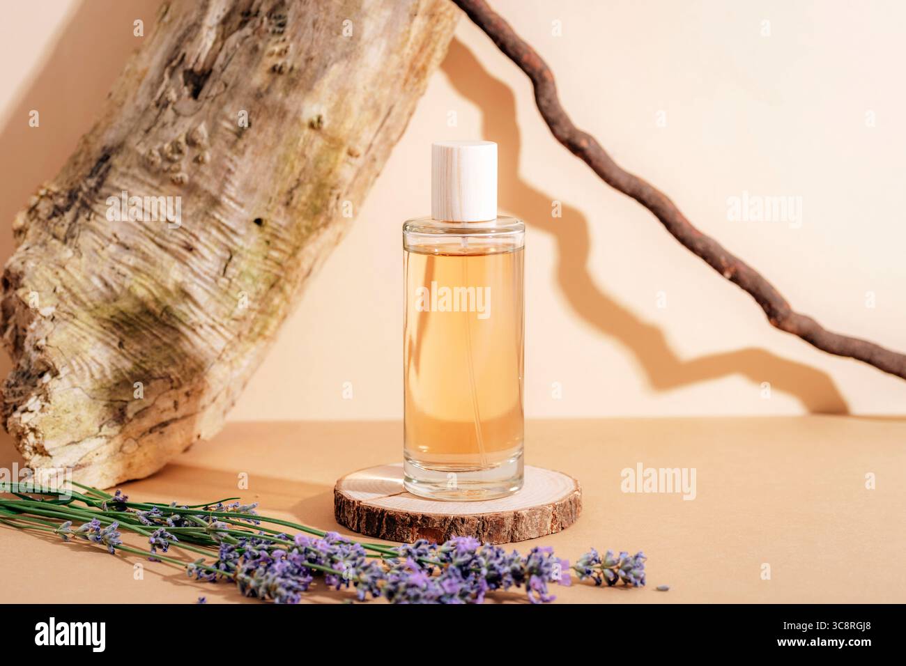 Glaskosmetikflasche mit Parfüm und frischen Lavendelblüten auf beigefarbenem Hintergrund. Aromatherapiekonzept. Holzdekoration mit Schatten auf der Backgr Stockfoto