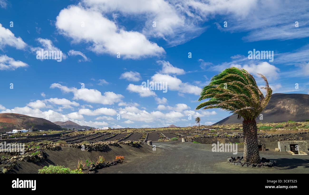 Wunderschöne Lanzarote Landschaft mit einem erloschenen Vulkan im Hintergrund unter einem blauen Himmel voller flauschiger Schafwolken. Stockfoto