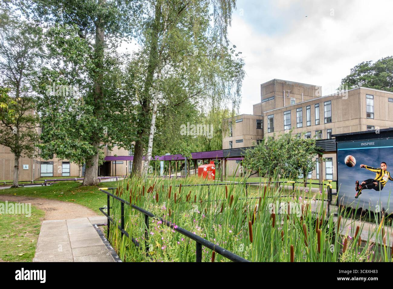 Blick auf das Goodricke College auf dem West Campus der University of York, Großbritannien. Stockfoto