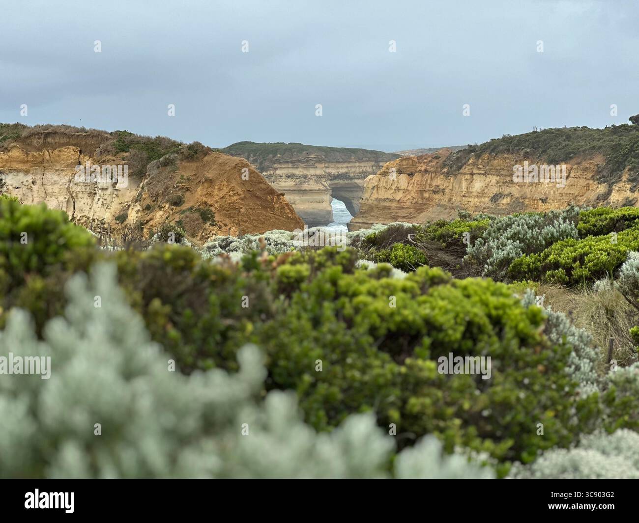 Natur am Arbeitsplatz Stockfoto