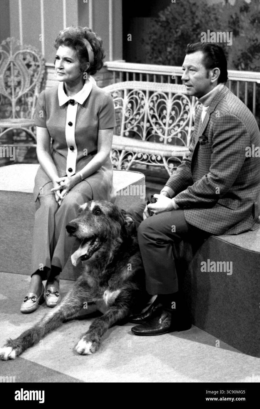 1971: Hollywood, Kalifornien, USA: BETTY WHITE und DONALD O’CONNOR mit seinem irischen Wolfhound Lobo in White's Show The PET Set. (Foto: © Globe Photos/ZUMA Wire) Stockfoto