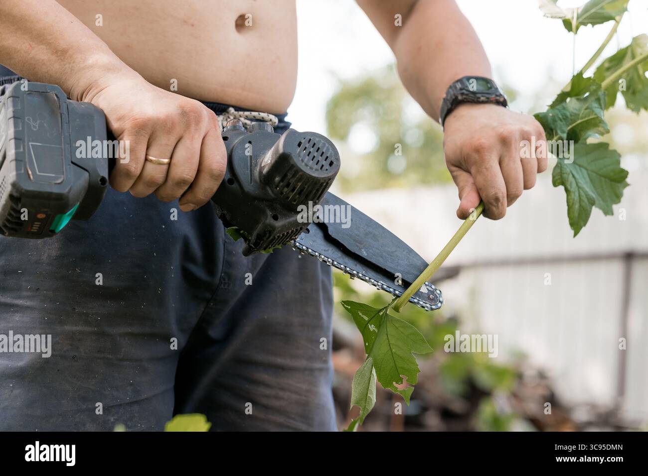 Ein Mann schneidet große grüne Blätter mit einer handgeführten, batteriebetriebenen Kettensäge in einem Garten im Garten bei hellem Tageslicht. Effizienzsteigerung Stockfoto