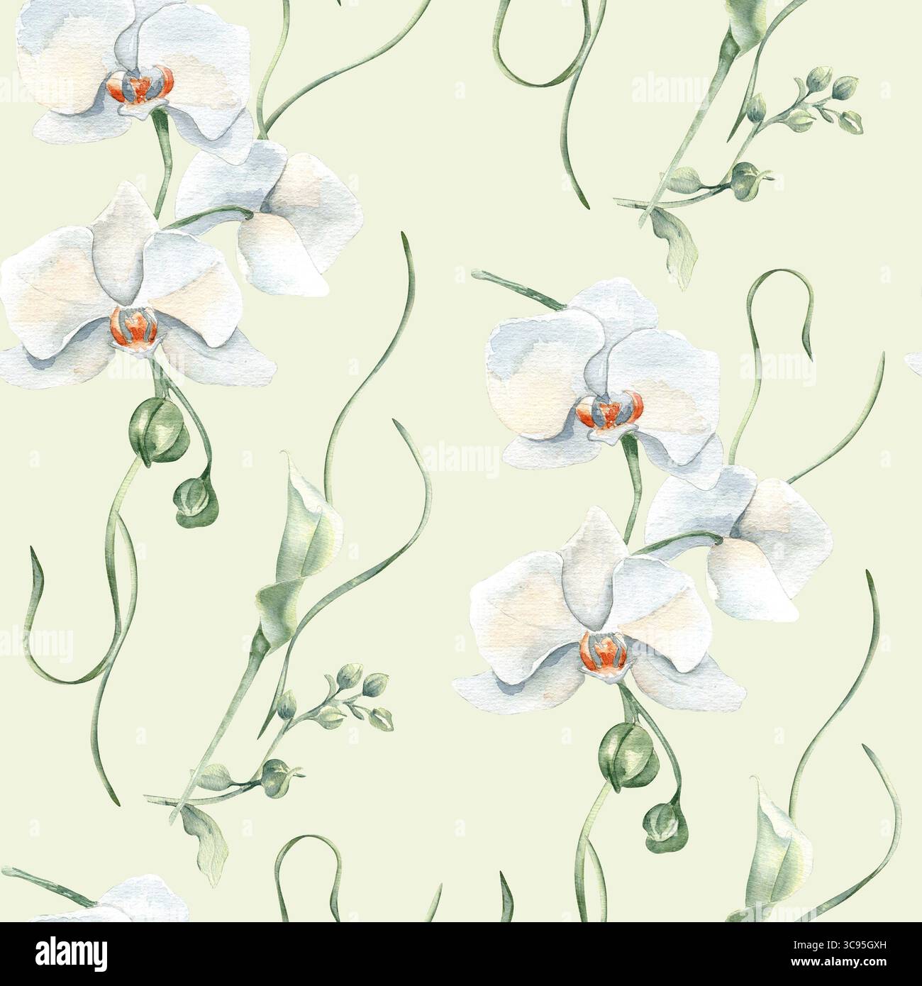Botanisches Blumenaquarell, nahtloses Muster isoliert. Weiße Blumen Orchideen und Lilie, grüne Stiele auf wiederholtem Hintergrund handgemalt für romantische Stockfoto