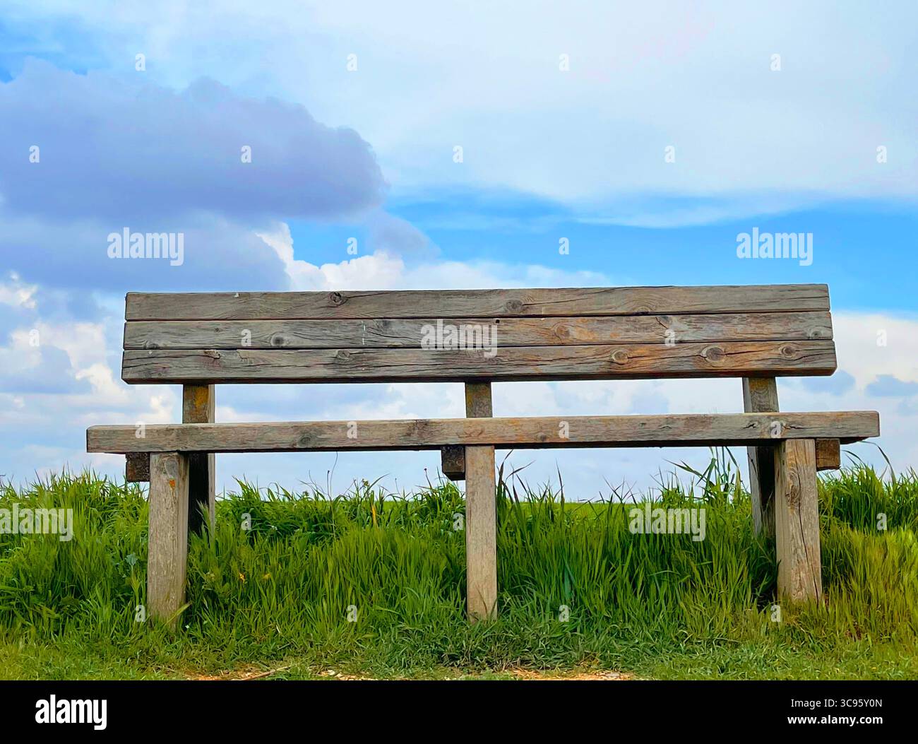 Holzbank im Einzelfeld. - Smartphone-aufgenommenes Stockfoto