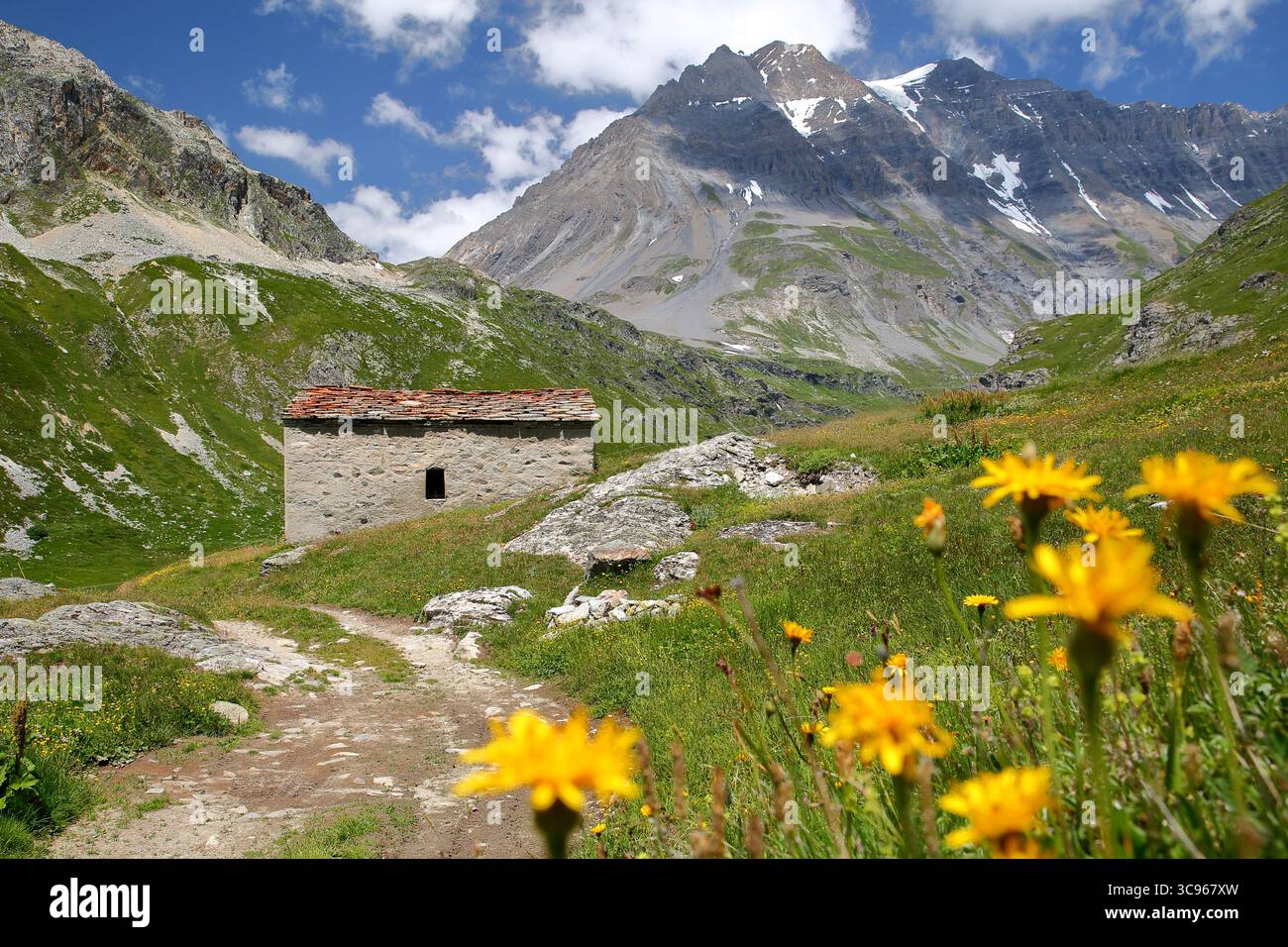 Der beeindruckende Gipfel Grande Casse, der von einem Wanderweg über dem Plan du Lac, einem Hochplateau im Nationalpark Vanoise, Savoie, Frankreich, betrachtet wird Stockfoto