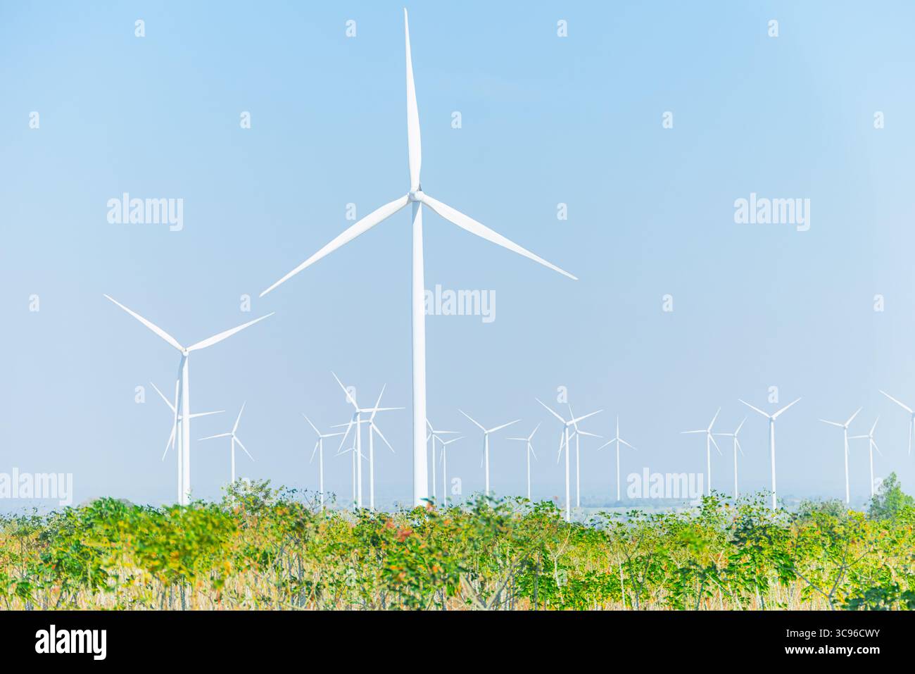 Grüne Energie, Öko-Energieressourcen, Net Zero Carbon Credit Konzept, Windkraftanlage auf grünem Baumfeld vor klarem blauem Himmel Stockfoto