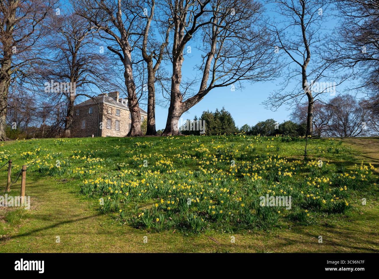 Edinburgh Schottland UK Royal Botanic Garden Edinburgh blüht Bäume Felsengarten Stockfoto