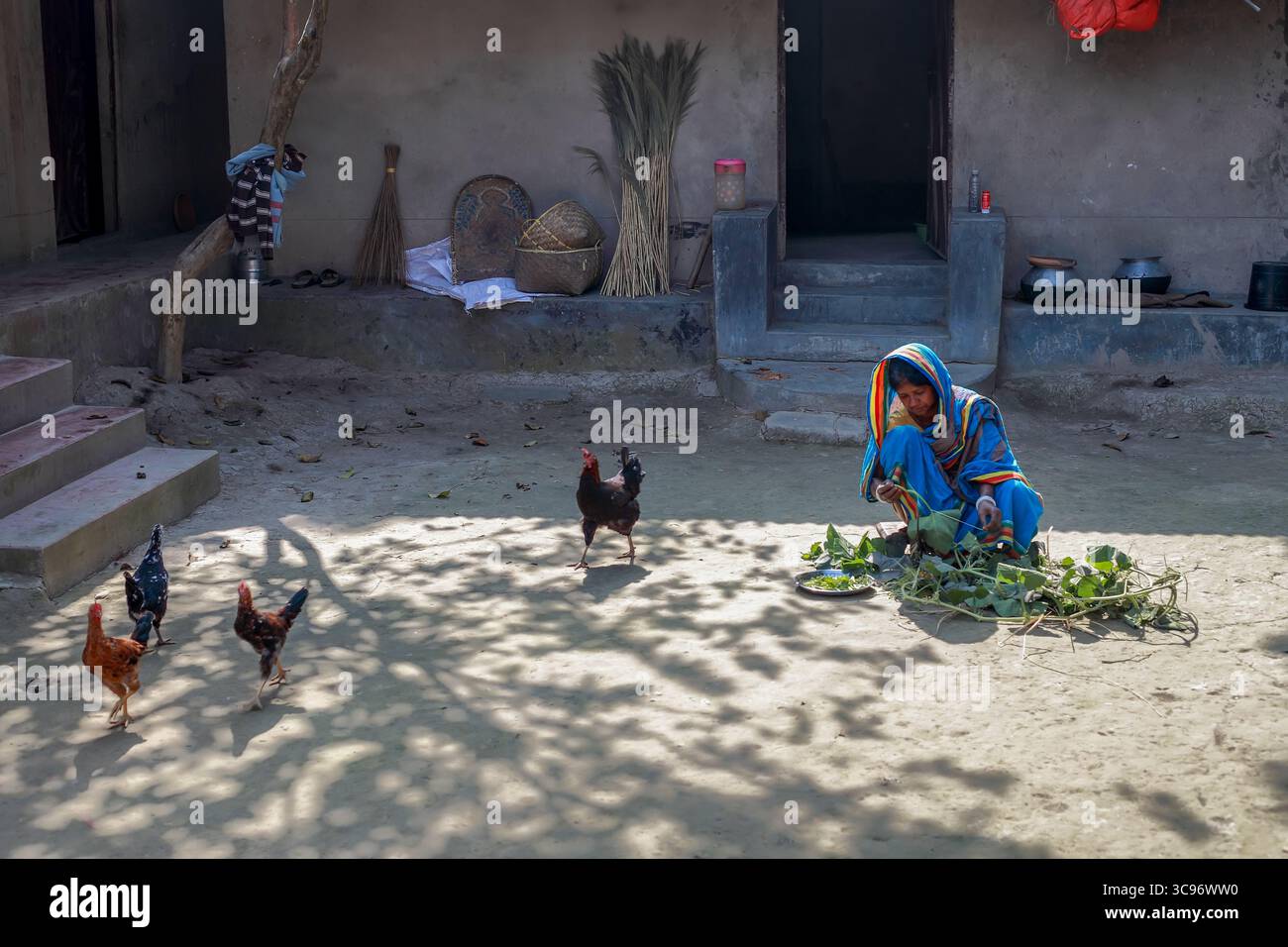 Mirsharai, Bangladesch - 16. Januar 2019: Blick auf eine Frau in einem leuchtend blauen Sari, die vor einer bescheidenen Wohnung, Hühner in der Nähe, unter dem Licht zubereitet. Stockfoto