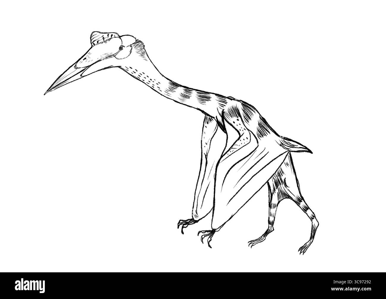 Handgezeichnete Quetzocoatlus-Illustration Stockfoto