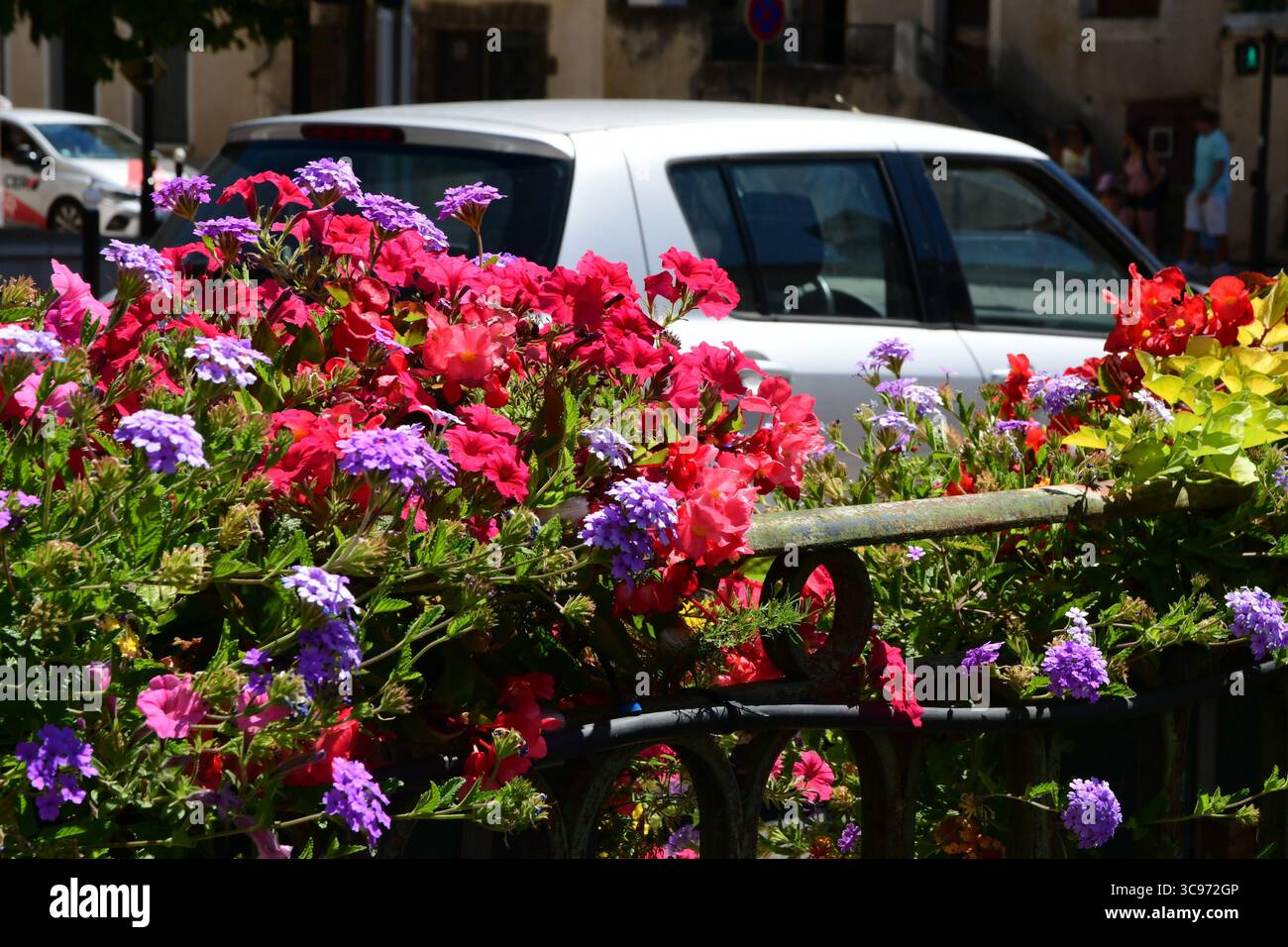 Orange, Vaucluse, Frankreich. 31. Juli 2025. Eine Blume, die in der Stadt gesehen wird. (Credit Image: © Romain Doucelin/SOPA Images via ZUMA Press Wire) NUR REDAKTIONELLE VERWENDUNG! Nicht für kommerzielle ZWECKE! Stockfoto