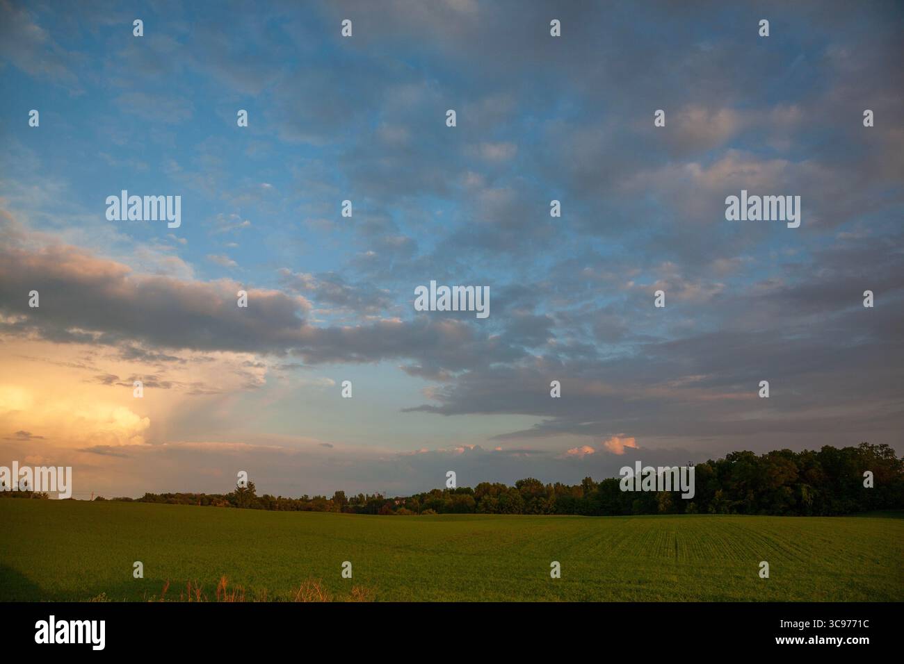 Dramatische Wolken bei Sonnenuntergang über grünen Feldern in Minnesota im Sommer Stockfoto