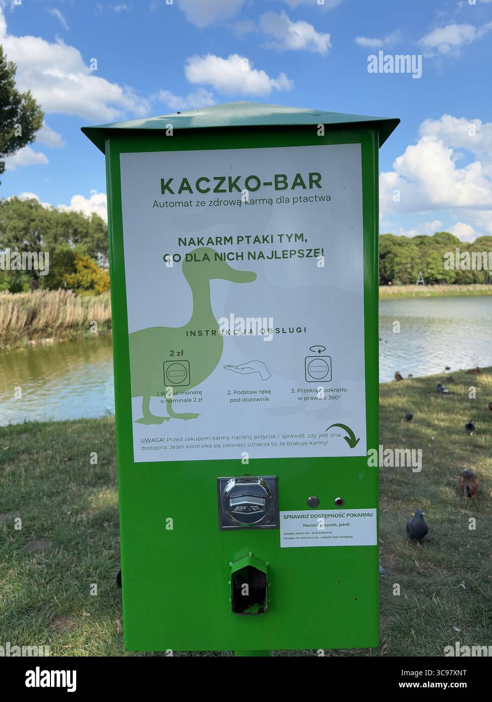 Futterautomat für grüne Enten in einem öffentlichen Park in Poznań, Polen, ermutigt die Menschen, Vögel mit gesundem Futter statt Brot zu füttern. Nur redaktionelle Verwendung. Stockfoto Futterautomat für grüne Enten in einem öffentlichen Park in Poznań, Polen, ermutigt die Menschen, Vögel mit gesundem Futter statt Brot zu füttern. Nur redaktionelle Verwendung. Stockfoto