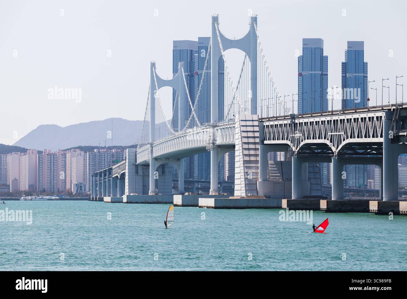 Küstenstadt mit Gwangandaegyo oder Diamond Bridge. Windsurfer segeln in der Nähe der Hängebrücke in Busan City, Südkorea Stockfoto